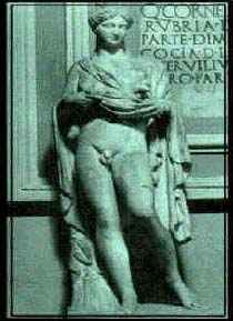 hermaphroditus006.jpg hermaphroditus006.jpg